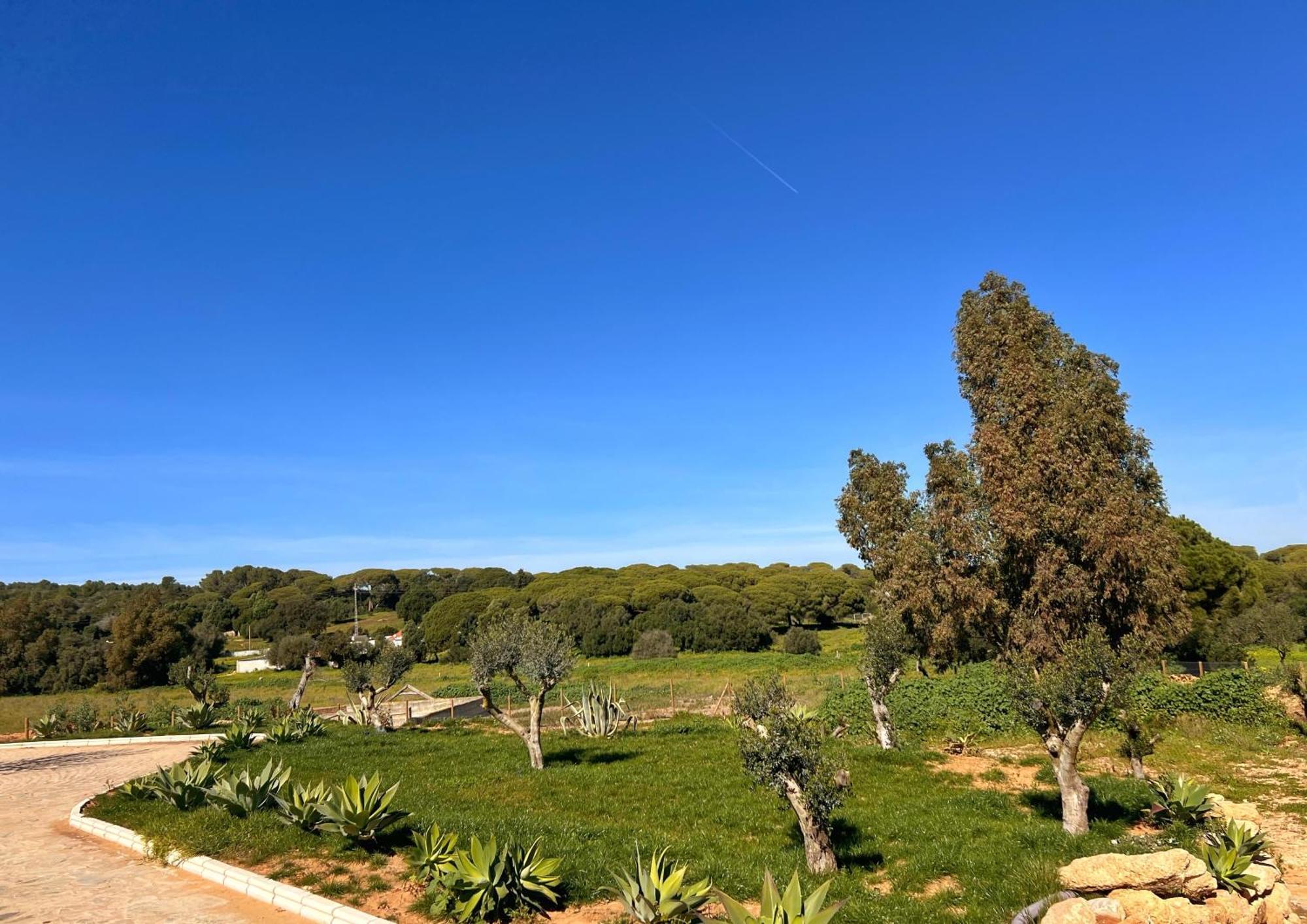 Hacienda La Yerbabuena Villa Кадис Екстериор снимка